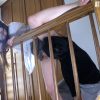 Thumbnail of related posts 164